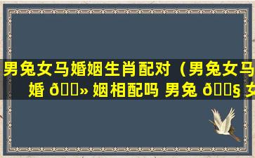 男兔女马婚姻生肖配对（男兔女马婚 🌻 姻相配吗 男兔 🐧 女马在一起好不好）